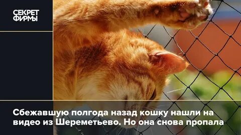 Делись секретом