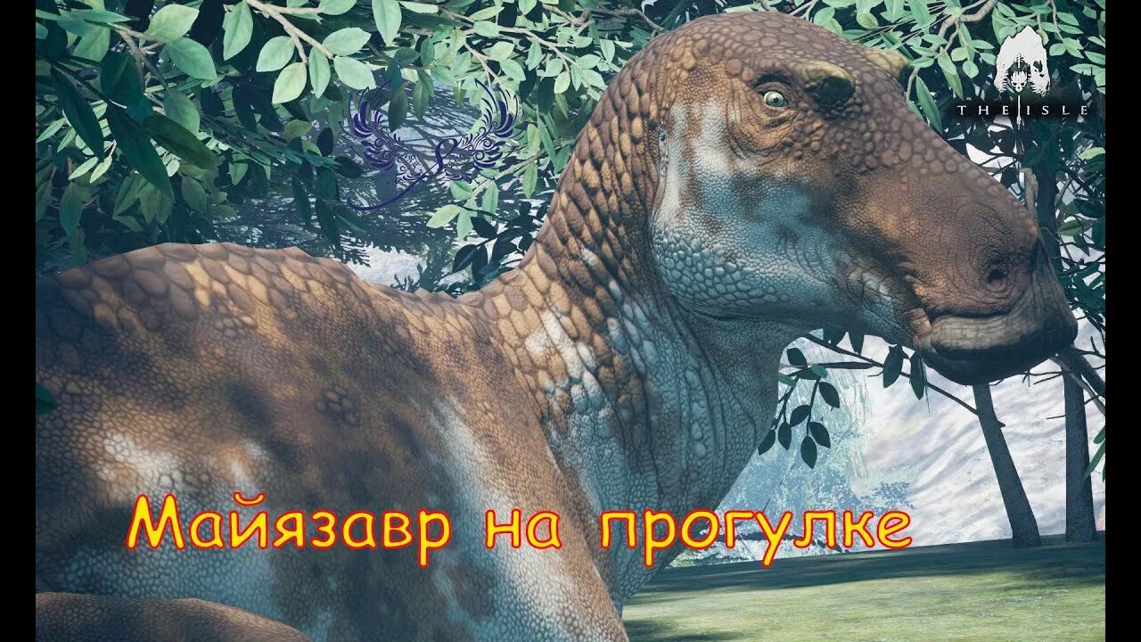 Сервера age of dino. Age of Dino the Isle. Эйдж оф Дино the Isle. Сайт зе Айл age of Dino. Порт age of Dino.