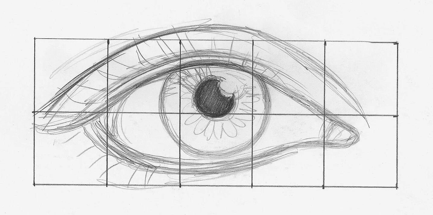 Как нарисовать глаз поэтапно карандашом для начинающих. Анатомия глаз для рисования. Анатомия человеческого глаза для рисования. Поэтапное рисование глаз. Схема рисования глаза человека.