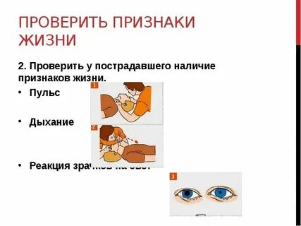 Центр признаки жизни