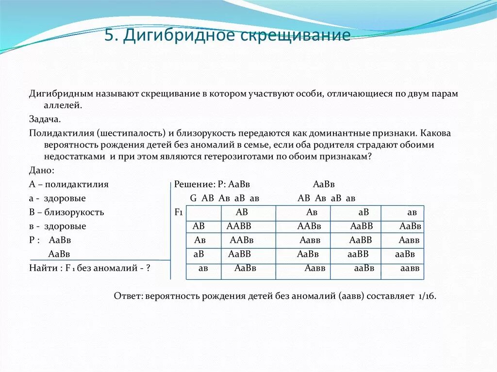 Дигибридное скрещивание задачи с решением 9. Алгоритм решения задач на дигибридное скрещивание 9 класс. Генетические задачи на дигибридное скрещивание 10 класс с ответами. Решение генетических задач на дигибридное скрещивание. Задачи по биологии на группу крови