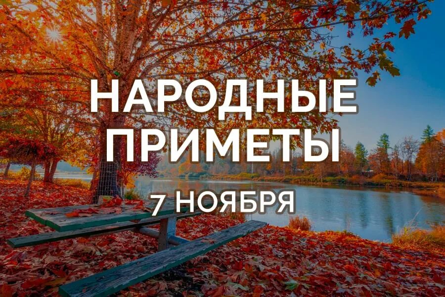 Приметы на 8 ноября. Народные приметы 18 октября. 27 Октября приметы. Народные приметы 11 октября. 18 Ноября народные приметы.