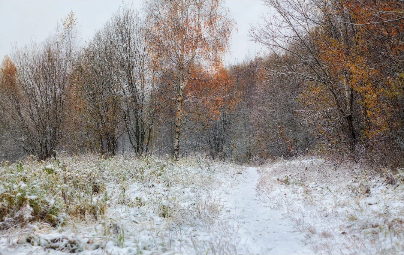 Ноябрь природа. Осень снег. Конец осени без снега. Конец ноября. Осень без тебя зима