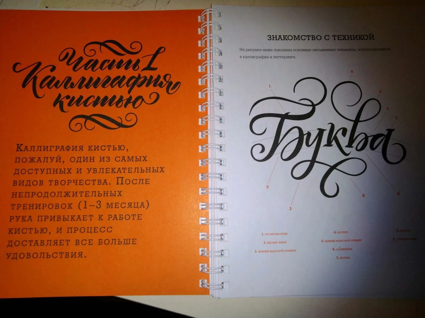 Основы каллиграфии. Анна рольская основы каллиграфии и леттеринга. основы каллиграфии пропись анна рольская. основы каллиграфии и леттеринга. прописи - анна рольская. анна рольская.