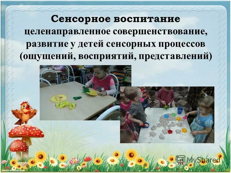 Сенсорное воспитание это. Сенсорное воспитание. Развитие сенсорных процессов.