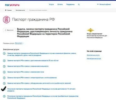 Мфц записаться на прием через госуслуги
