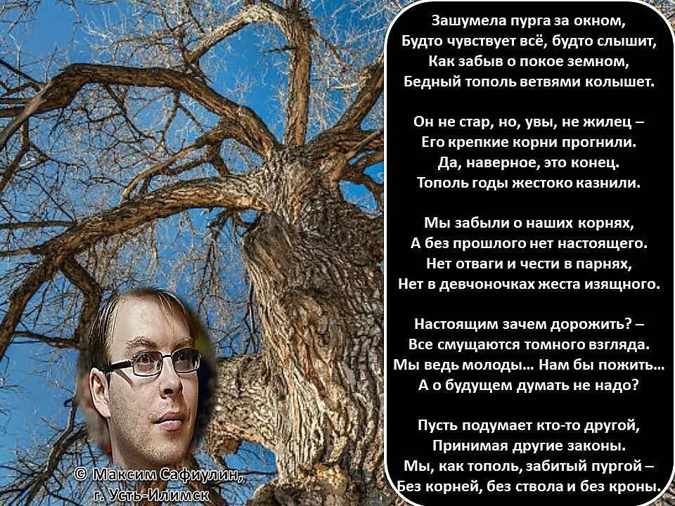 Песня пушкиных пять тополей