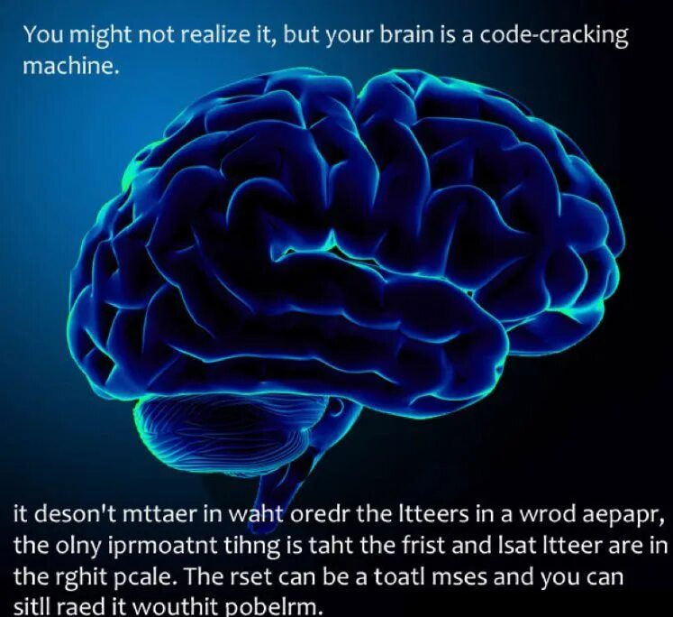 Want brains. Brain. Facts about Brain. About the Brain.