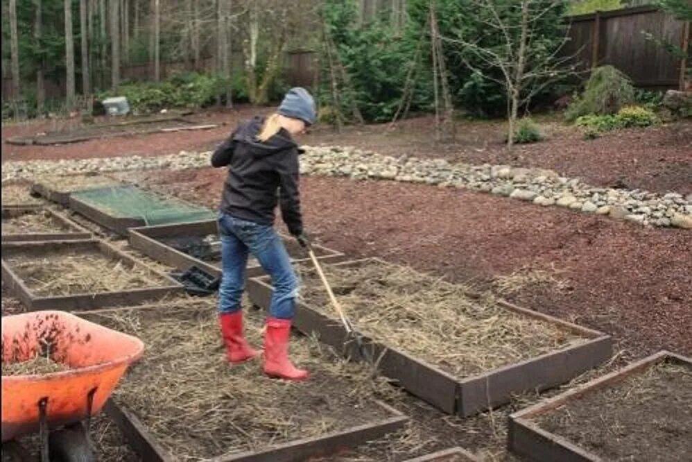 Огород весной. Рабочий по благоустройству. Благоустройство сада. Уборка участка на даче. Работа на участке рабочие.