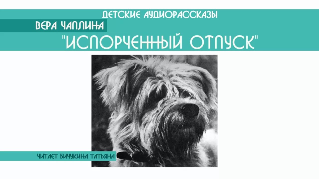 Чаплина аудиокнига. Чаплина питомцы зоопарка книга. "питомцы зоопарка". "забавные животные". Обложка книг в чаплиной.