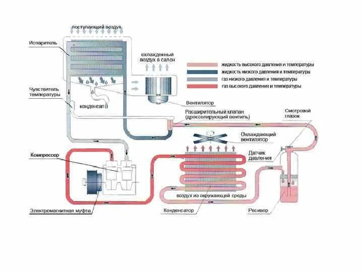 Работа кондиционера в автомобиле. Схема холодильного испарителя. Воздуха охладитель холодильный чертеж. Схема холодильной камеры с оборудованием. Конденсатор и испаритель холодильной машины.