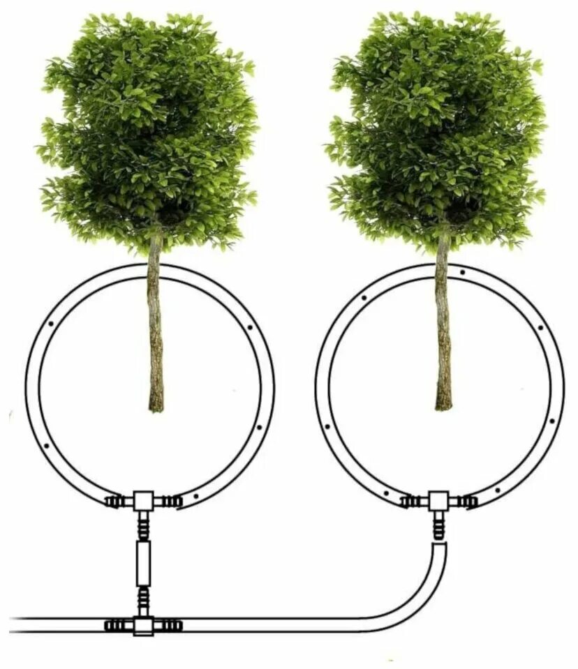 Элемент системы дерево. Капельный полив плодовых деревьев. Капельный полив система для деревьев. Капельное орошение плодовых деревьев. Капельный полив подкорневой.