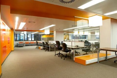 Study area