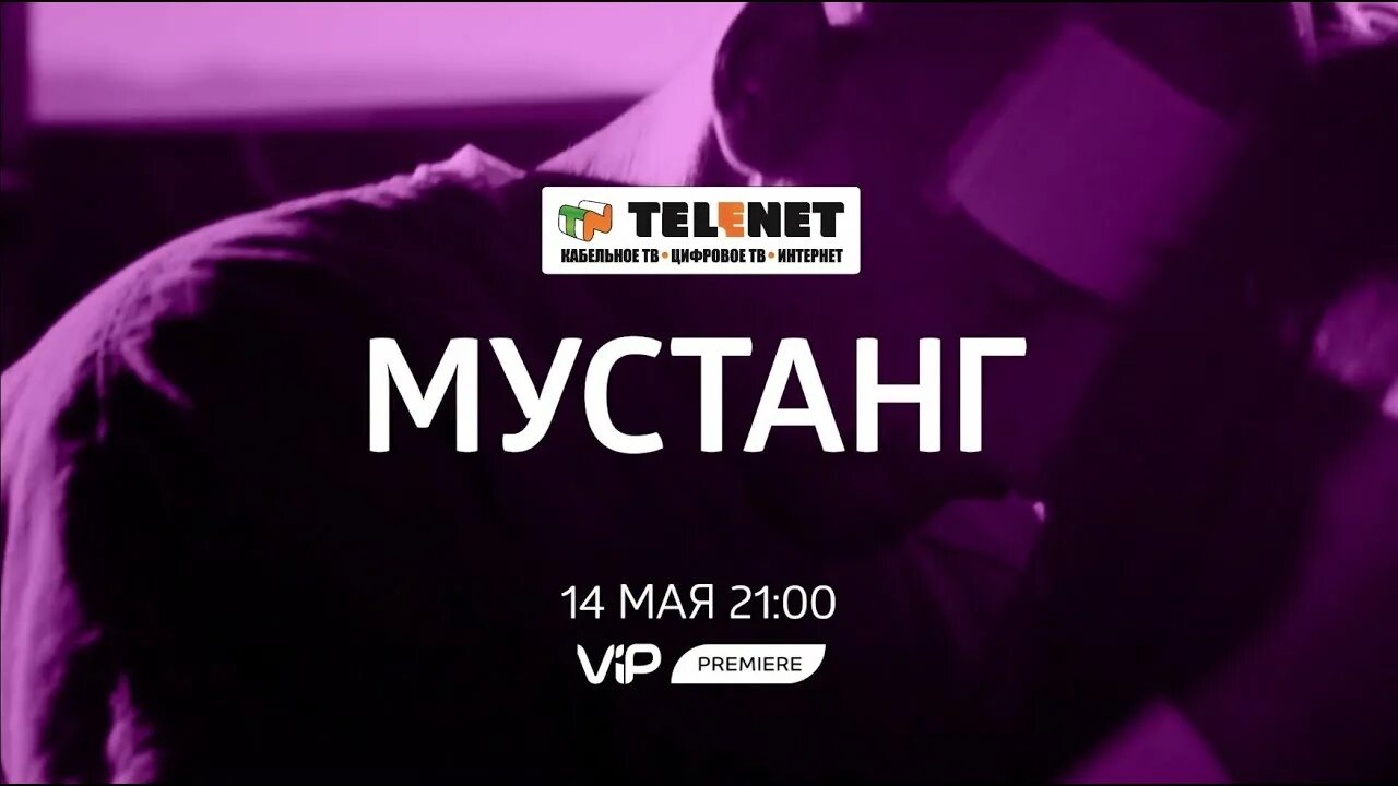 Телеканал VIP Premiere. VIP Premiere прямой эфир. Wink VIP Premiere. Телеканал премьер прямой эфир