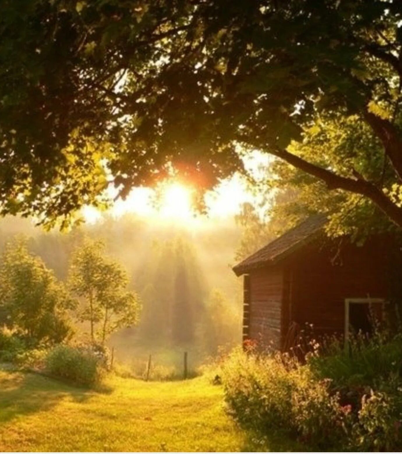Солнце в разных домах. Природа рассвет. Утро лето. Утро в деревне. Рассвет в деревне.