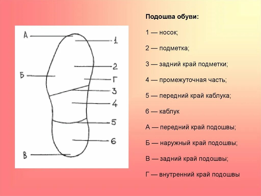 Что означает слово подметка. Строение подошвы криминалистика. Наименование основных частей подошвы обуви человека. Элементы следа подошвенной части обуви. Подметочная часть обуви криминалистика.