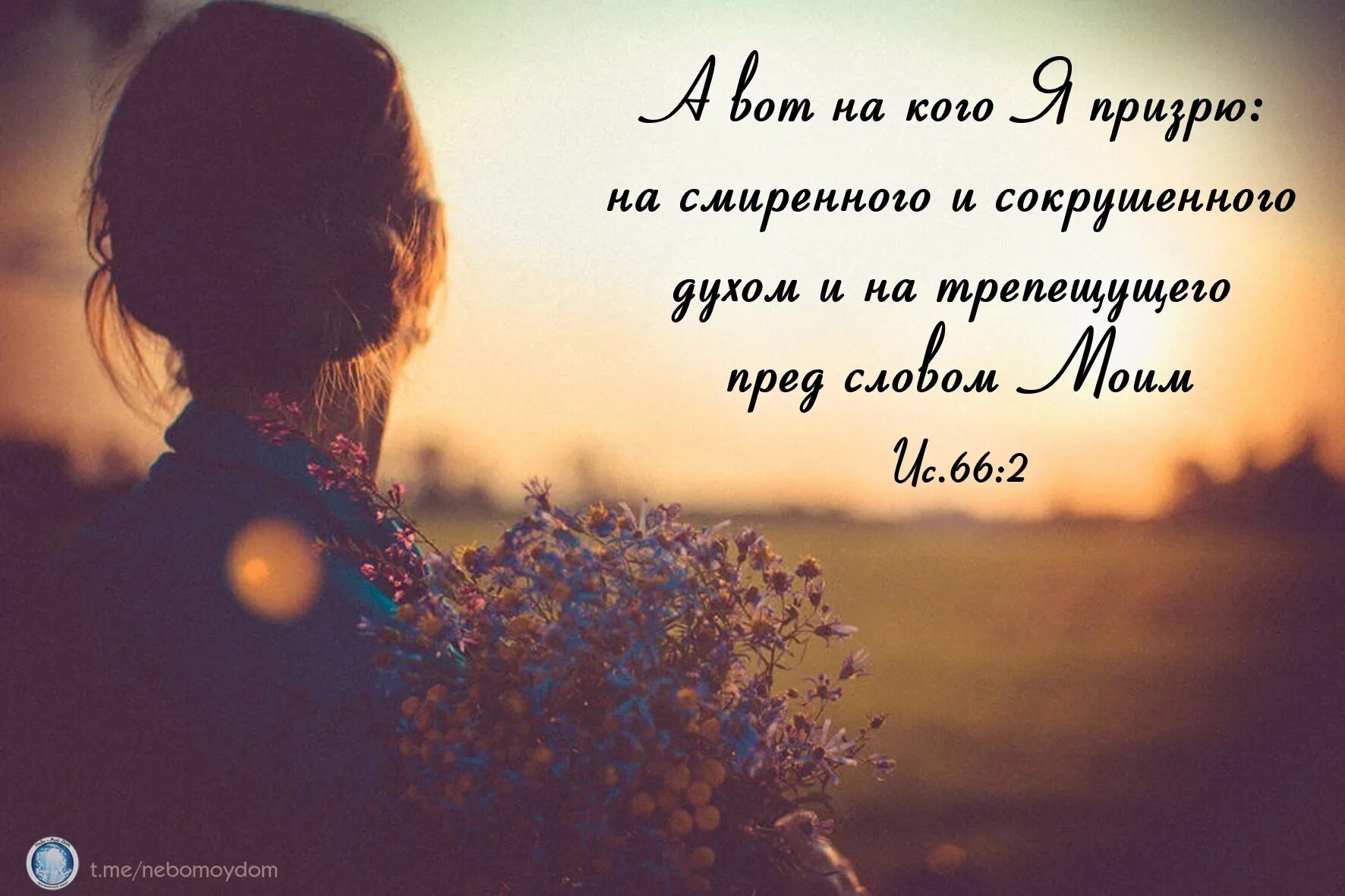 Девица даль. Женщина со спины. девушка в цветах со спины. девушка вдаль. девушка в поле со спины.