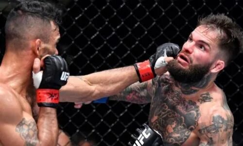 Коди гарбрандт юфс. Ufc коди гарбрандт тату. Роб бой пермь. Альдо маланд. Роб битва.