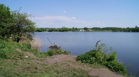 Паники курская область