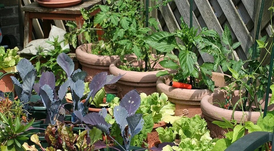 Summer kitchen. Современные грядки. Умывальник на даче идеи. In the garden in the kitchen. Огород в кашпо.