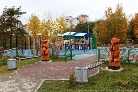 Приморский сосновый бор