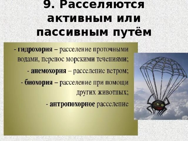 Помощь с расселением. Способы расселения животных. Активный и пассивный способ распространения животных. Распространение животных организмов. Способы расселения растений и животных.