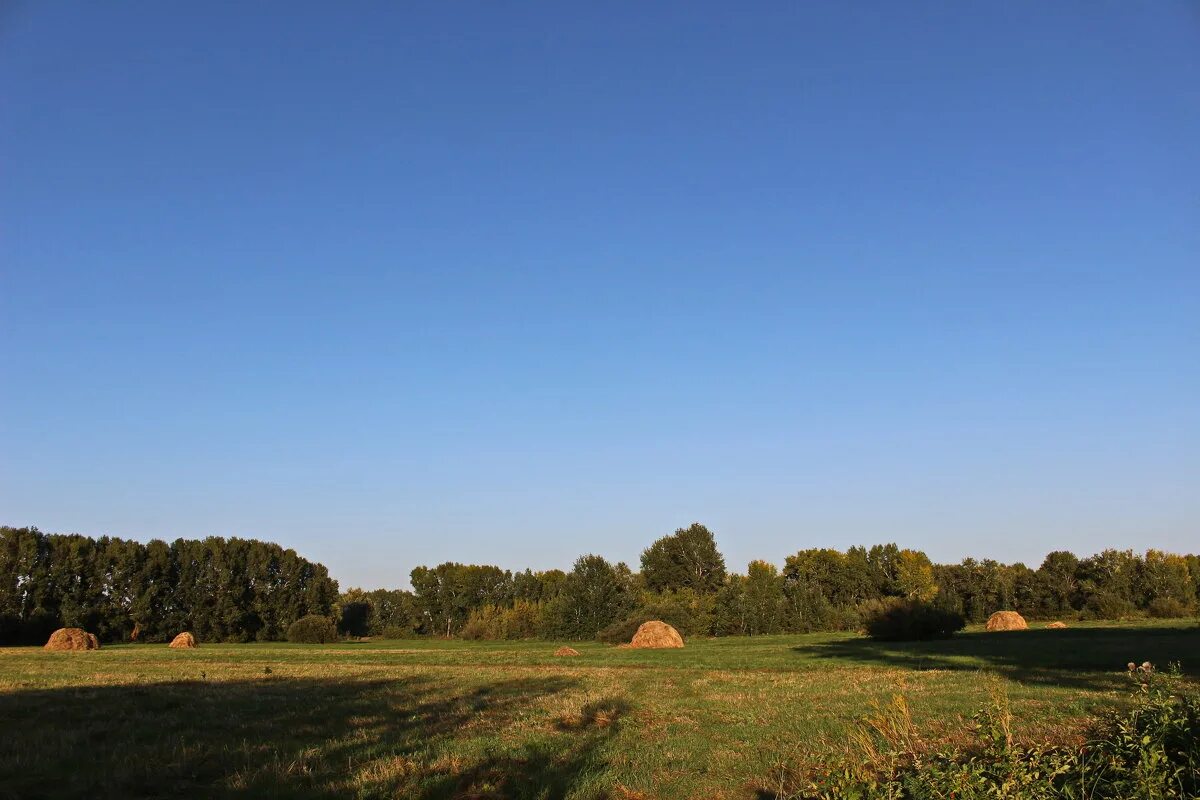 русский язык 6 класс разумовская упражнение 455. русский язык 6 класс разумовская что такое причастие. луга сенокос. луг с нескошенной травой. скошенные луга.