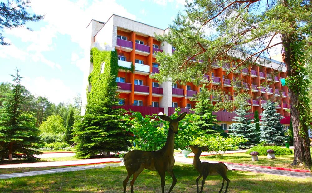 санаторий приднепровский лечение. санаторий днепровский рогачев. санаторий приднепровский лечение. санаторий в белоруссии с лечением рогачев приднепровский. санаторий приднепровский белоруссия.