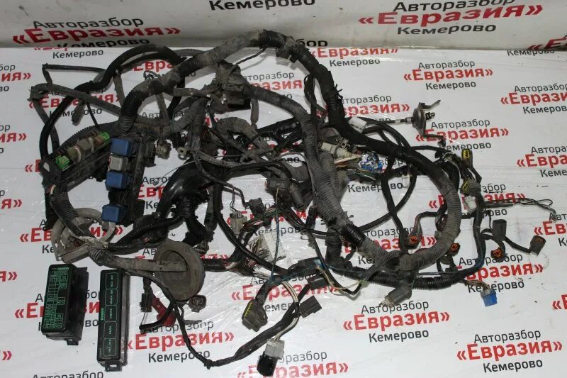 Ниссан Pulsar подкапотная проводка. Подкапотная коса ga15ds. Подкапотная проводка Nissan x Trail 2.5. Nissan Bluebird Sylphy подкапотная коса. Электропроводка ниссан