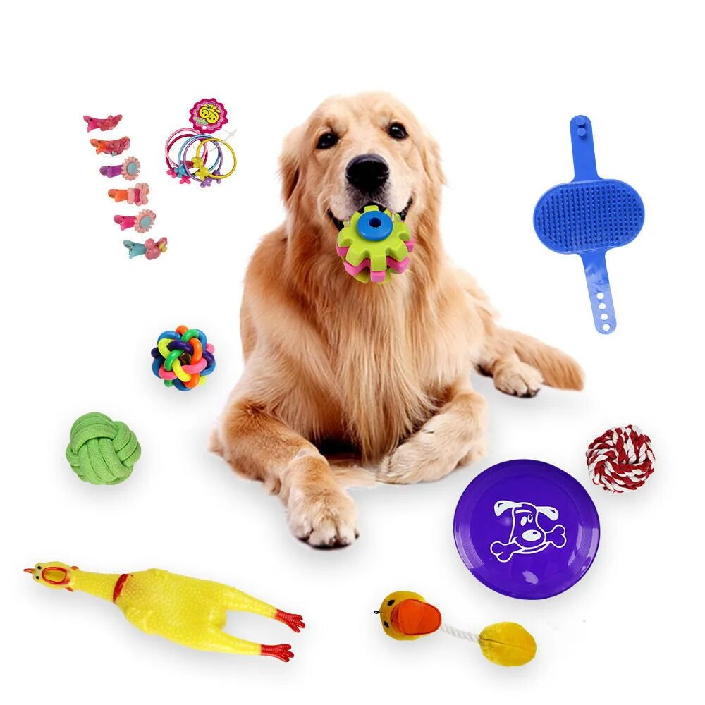 Pet product. Игрушка для собак. Разные игрушки для собак. Игрушки питомцы. Интерактивная игрушка собака.