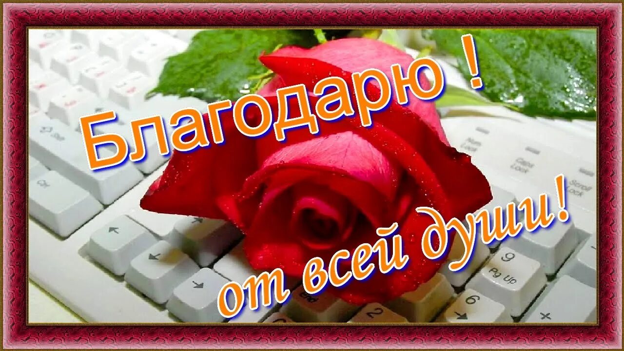 Спасибо от души. От души благодарю. Спасибо от всей души. От всей души спасибо за поздравления. Благодарю от души картинки.