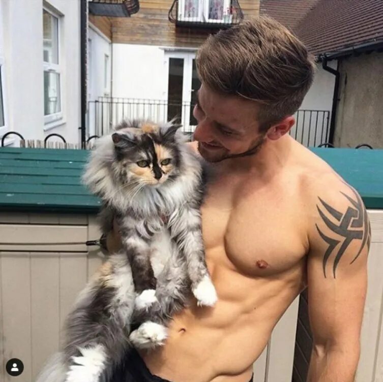 кот мужик видео