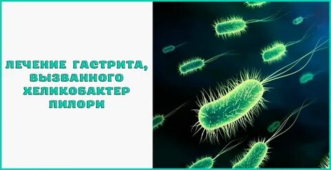 Народная лечение хеликобактера