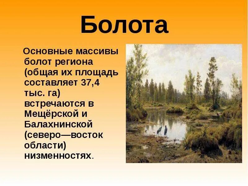 Болото рассказы. Доклад про болото. презентация на тему болото. болота доклад. сообщение о болотах.