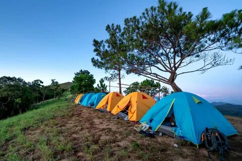 Camping 2050