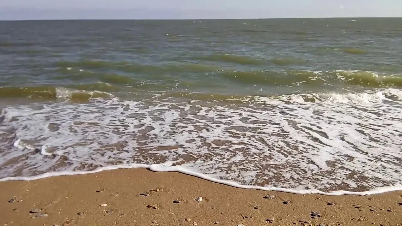 Вода в каспийском море махачкала