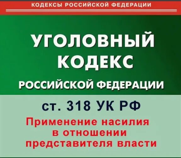 Насилие в отношении представителя власти ук