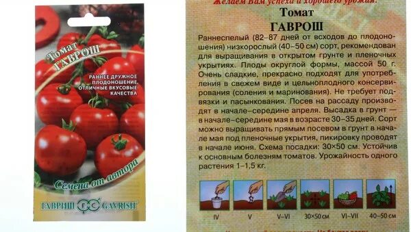 Томат гаврош. Томат гаврош 0,1 г автор.. помидоры сорта для юга россии жароустойчивые. гаврош помидоры описание.