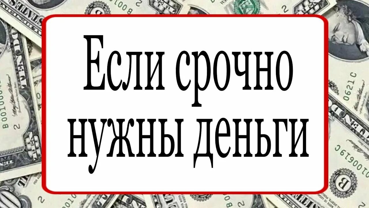 Просто деньги были нужны. Когда срочно нужны деньги. Тайна жрицы на деньги. Что делать если срочно нужны деньги. Когда срочно нужны деньги ритуал.