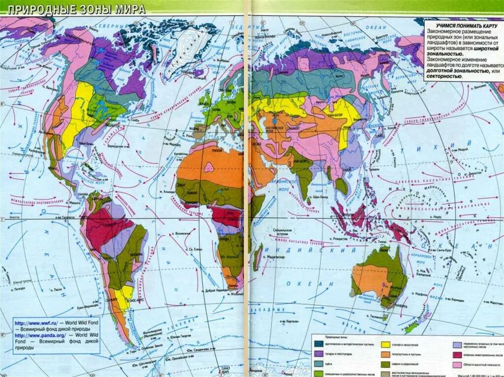 Атлас 6 класс природные зоны