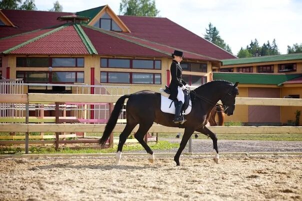 Вегас кск. Эквиторус конно-спортивный. Конно-спортивный комплекс. ЕВРАЗ конно спортивный комплекс. Комплекс с лошадьми.