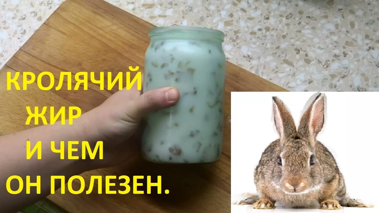 Заячий жир. Кроличий внутренний жир. жир кролика применение.