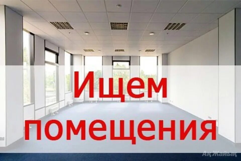 Сдача помещения под аренду. Сдача помещения под аренду. Нежилое помещение. Помещение свободного назначения. Коммерческое помещение.