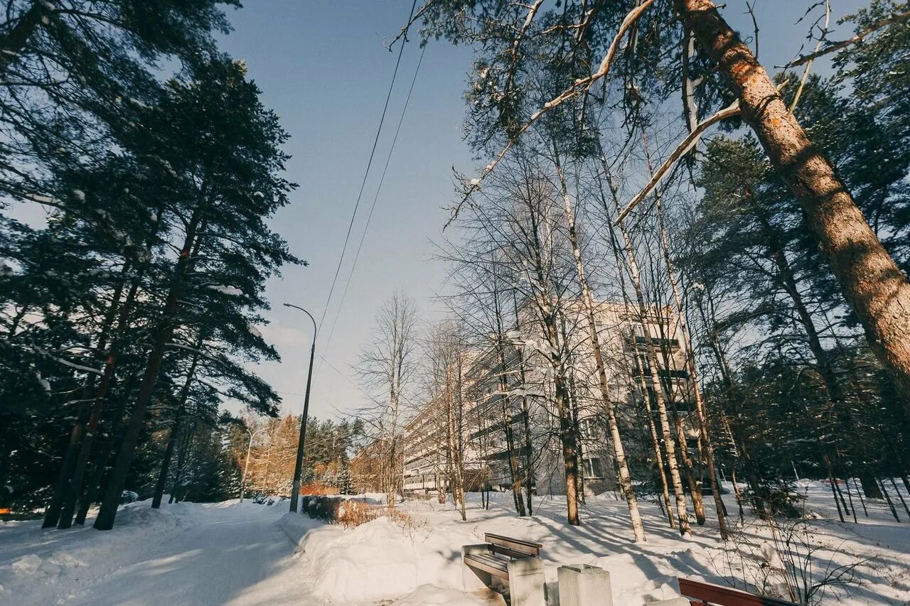 Санаторий Восток-6 в Зеленогорске. Санаторий Восток-6 Ленинградская область. Лагерь Восток 6 Ленинградская область. Восход-6 пансионат Зеленогорск. Восток 6 пансионат цены 2024 ленинградская