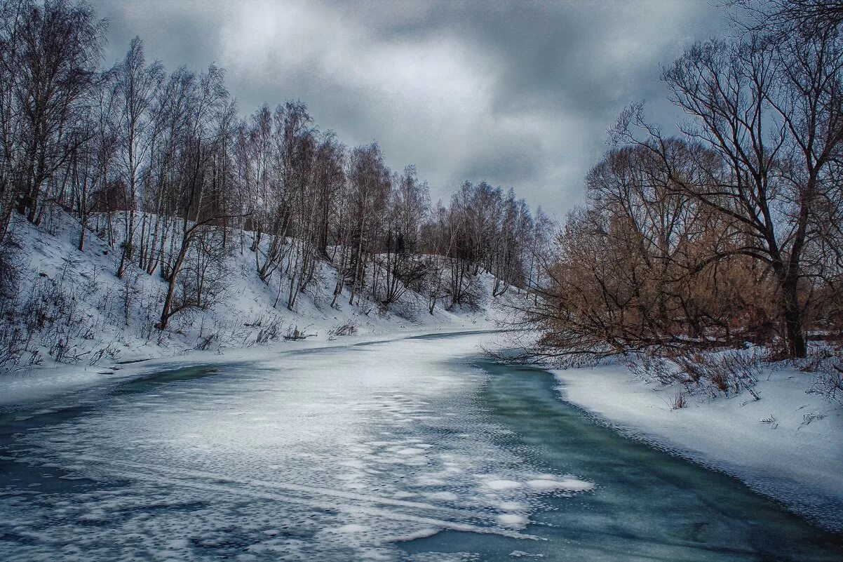 Полынья на речке. Полынью слушать. Полыньи на реке что это. Полынью слушать. Полынь горькая (artemisia absinthium).