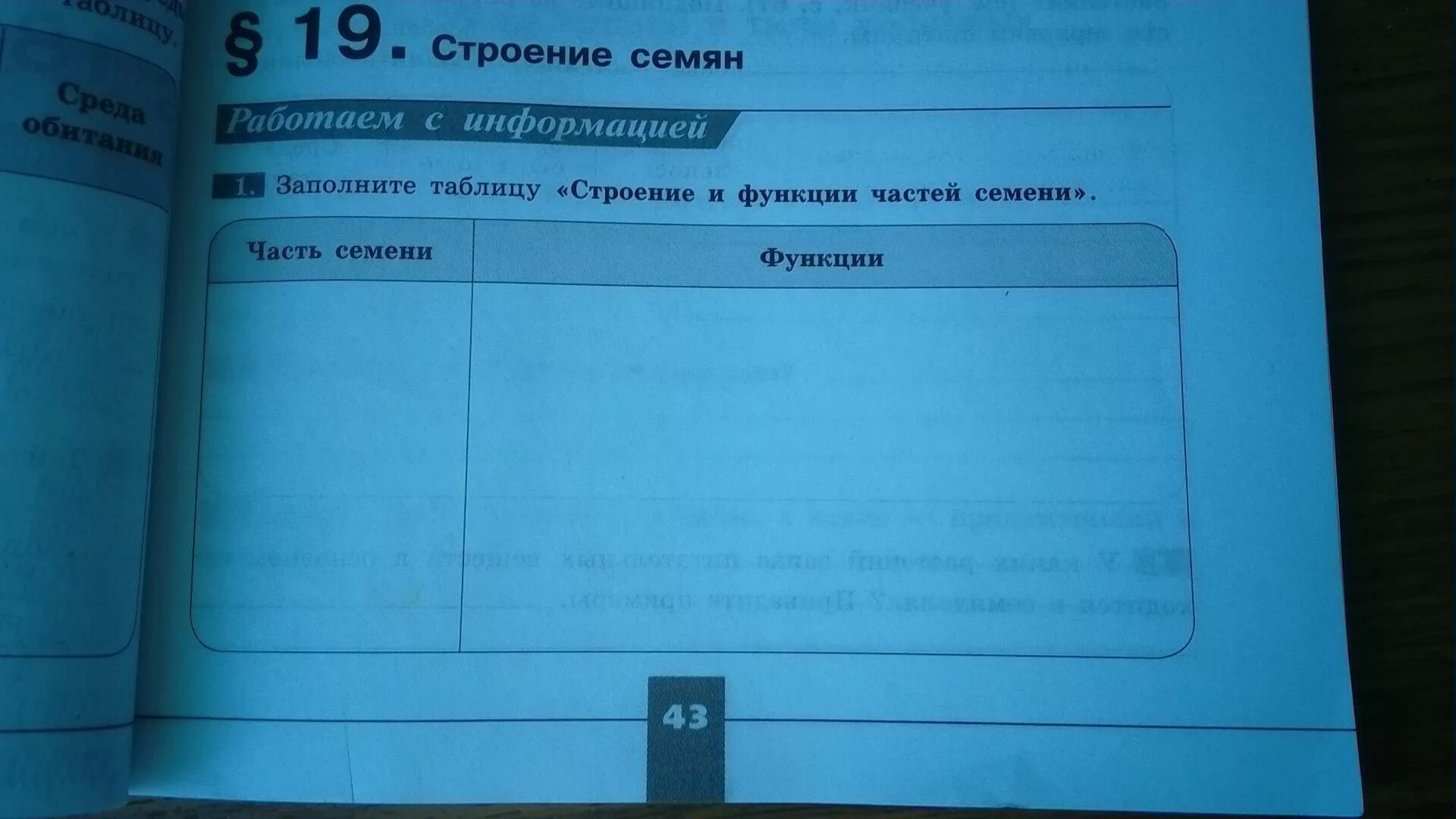 Заполните таблицу строение и функции частей семени. Таблица строение и функции частей семени. Строение и функции частей семени заполнить таблицу 6 класс. Заполни таблицу строение и функции частей семени.