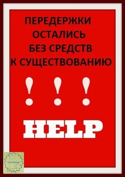 Сбор стоит. Сбор на корм. сбор средств на корм. помогите собрать на корм. помоги собрать на корм.