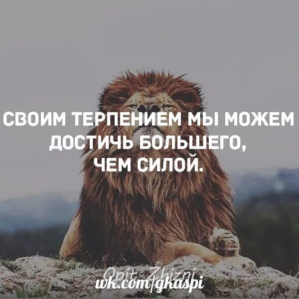 Условия сильного слабому. Одиночество удел. Одиночество удел сильных слабые всегда жмутся к толпе. Одиночество удел сильных людей. Слабые всегда жмутся к толпе.