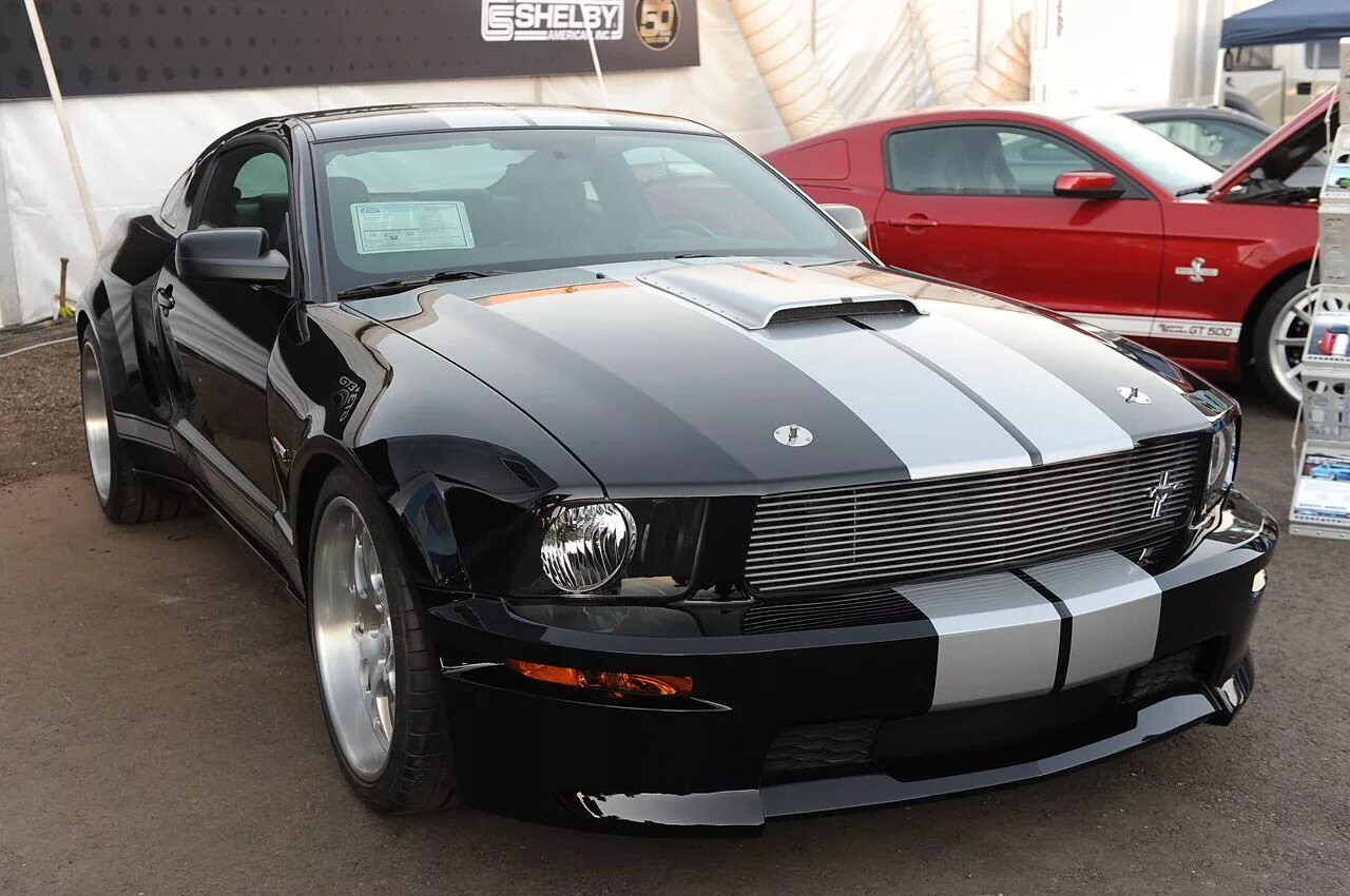 Форд мустанг бу. Ford Mustang gt 2005. Ford Mustang gt 2005 Shelby. Ford Mustang Shelby 2005. Форд Мустанг gt 500 2005.