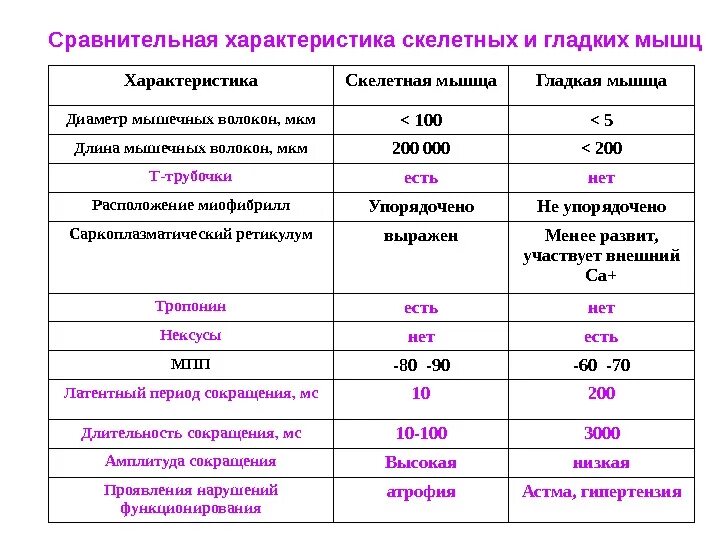 Свойства гладких скелетных мышц. Сравнительная характеристика скелетных и гладких мышц физиология. сравнительная таблица свойств скелетных и гладких мышц. сравнительная характеристика скелетных и гладких мышц таблица. сравнительная таблица свойств различных видов мышечной ткани.